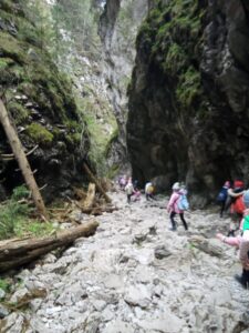 att.dK8x6Fxpa9uI2UIQEkdB-kZg8xjQiIeR2Q3u3VpOeRw