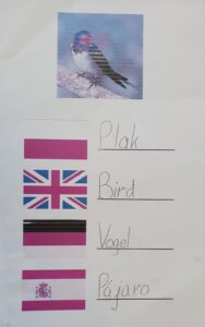 1000003309