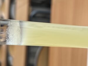 IMG_2232
